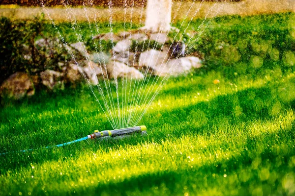 Dispositivo de rega aspersor de jardim de irrigação. Sistema de aspersão regando o gramado — Fotografia de Stock