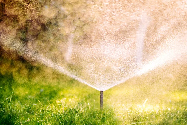 Feche os detalhes do aspersor automático de gramado pop-up. Detalhes da irrigação — Fotografia de Stock