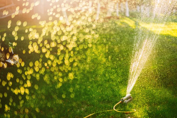 Aspersão automática trabalhando na irrigação de grama. Sistema de aspersão regando o gramado — Fotografia de Stock