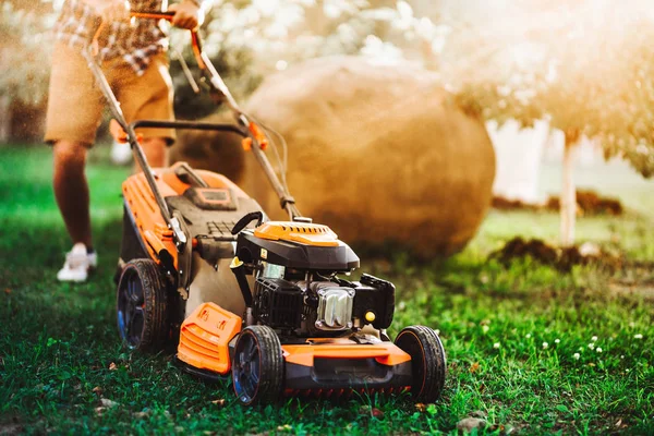 Profesyonel bahçıvan çim biçme makinesi kullanarak ve doğrudan günbatımı güneş ışığına karşı çim kesme