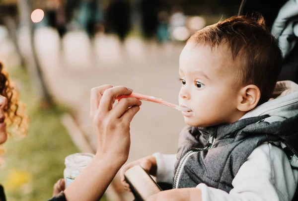 Mama si copilul, mananca si parintii mama cu piure si lingura care hraneste bebelusul in parc in carucior — Fotografie, imagine de stoc