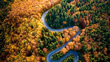 Gün batımında güzel bir sonbahar ormanındaki kıvrımlı yol manzarası. Sonbahar renkleriyle yol manzarası. Avrupa yolları ve ulaşım kavramı