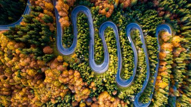 Yılanların hava manzarası, gün batımında güzel bir sonbahar ormanında kıvrımlı bir yol. Sonbahar renkleriyle yol manzarası. Avrupa yolları ve ulaşım kavramı