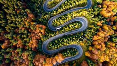Avrupa dağlarında eğri asfalt yol, renkli yapraklı güzel sonbahar manzarası