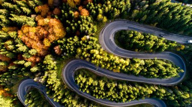 Renkli sonbahar manzarası otoyol, arabalar, sarı ve turuncu yapraklı ağaçlar. Avrupa yolları ayrıntıları
