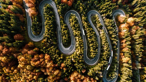 Aerial view of curvy road in beautiful autumn forest at sunset. — Stock Photo, Image