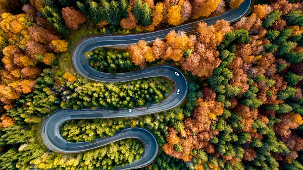 Perfect Aerial View Winding Forest Road Mountains Colourful Landscape Rural — Stock Photo, Image