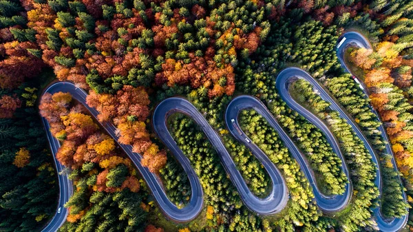 Serpentine Details Aerial View Winding Forest Road Mountains Colourful Landscape — Stock Photo, Image