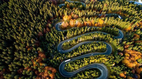 Curved Road European Mountains Beautiful Autumn Scenery Colourful Leaves — Stock Photo, Image