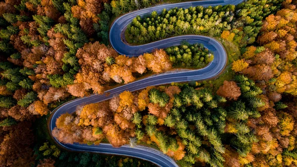 Güzel Sonbaharda Orman Yolunun Havadan Görünüşü — Stok fotoğraf