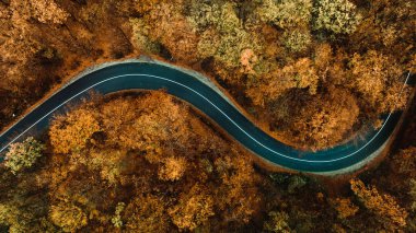 Asfalt orman yolu, dolambaçlı yol ve renkli hava manzarası 