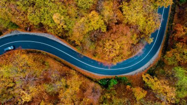 Asfalt orman yolu, dolambaçlı yol ve renkli hava manzarası 