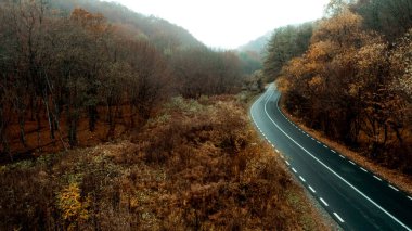 Sonbahar renkleriyle yol manzarası. Kavisli yolun havadan görüntüsü