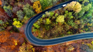 Dağ Ormanı Yolu 'nun güzel hava manzarası. Hava görünümü 