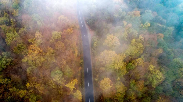 紅葉と霧が広がる真っ直ぐな丘の道の絶景 — ストック写真