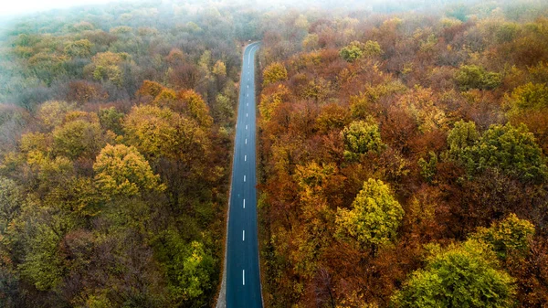 Veduta aerea di strada vuota in bellissimo autunno. Serpentine deta — Foto Stock