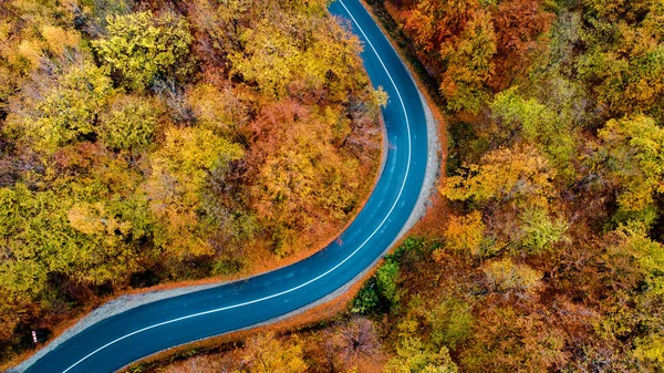 Widok z lotu ptaka na leśną drogę pięknej jesieni. Serpentyny det — Zdjęcie stockowe