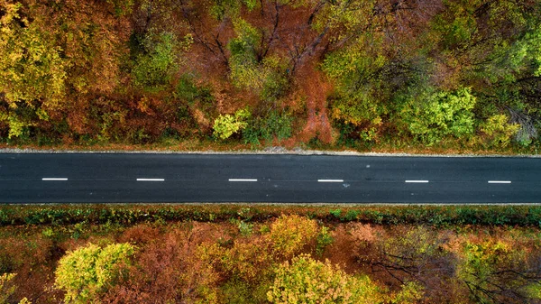 Вид зверху на осінній ліс з прямими асфальтовими дорогами — стокове фото