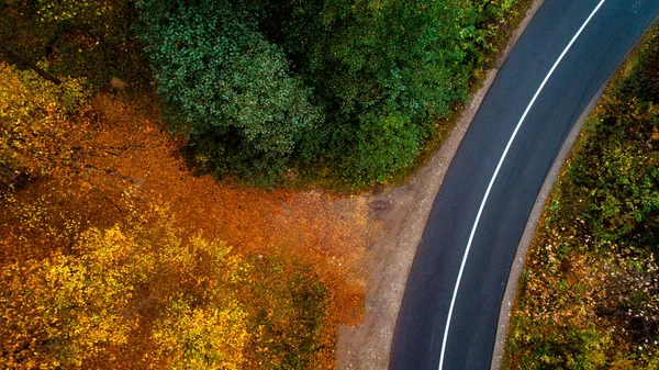 Sinuoso camino vacío en el bosque de otoño. Vista superior — Foto de Stock