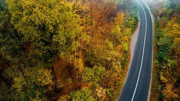 Widok z góry pusty leśny droga z jesienny kolor. Widok z powietrza — Zdjęcie stockowe