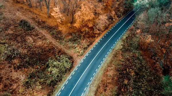 Vista aérea de la carretera europea, hermosa carretera recta con autum — Foto de Stock