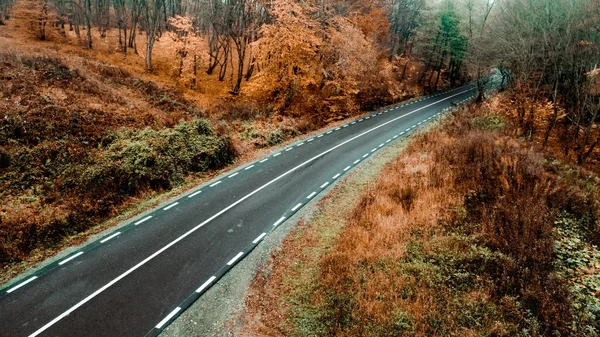 Vista aérea del camino forestal desaturado de otoño. Vista desde arriba , — Foto de Stock