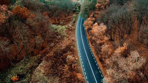 Aerial view of curvy road in beautiful autumn forest. Top view o — Stock Photo, Image