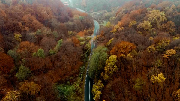 Top aerial view of empty forest road with autumn colors. Aerial view of curvy road in autumn forest.