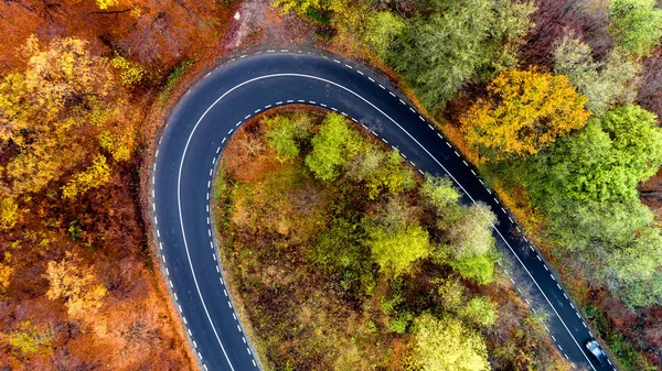 Güzel sonbahar ormanlarındaki kıvrımlı yol manzarası. Üst görünüm o — Stok fotoğraf