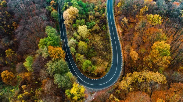 Dağ Ormanı Yolu 'nun güzel hava manzarası. Hava görünümü — Stok fotoğraf