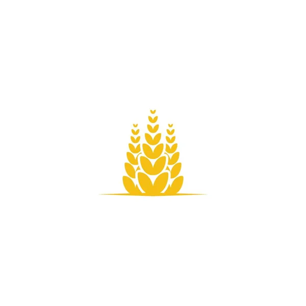 Grano Trigo Agricultura Logo Diseño Inspiración — Archivo Imágenes Vectoriales