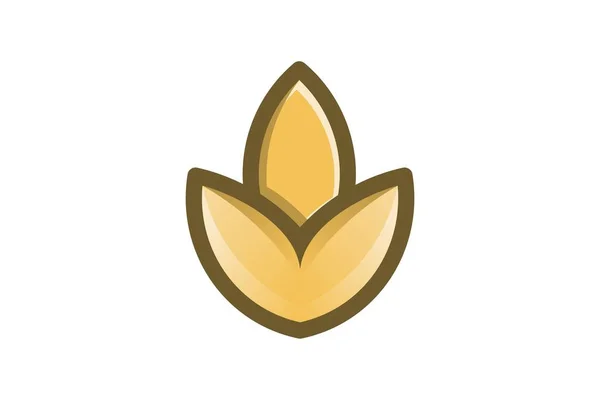 Minimalist Buğday Tahıl Tarım Logo Tasarım Ilham — Stok Vektör