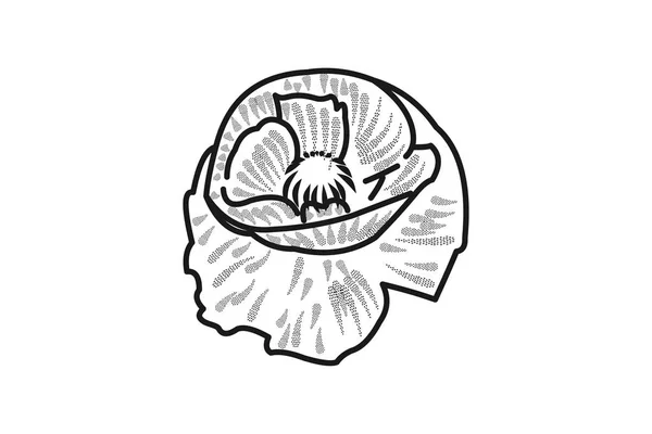 Lily Flower Beauty Logotypdesign — Stock vektor