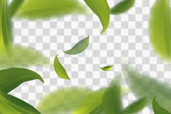 Ярко Летящие Листья Зеленого Чая Прозрачный Фон Векторная Иллюстрация — стоковый вектор