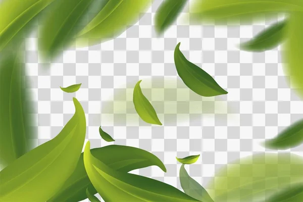 Векторная Иллюстрация Зелеными Чайными Листьями Движении Прозрачном Фоне Элемент Дизайна — стоковый вектор