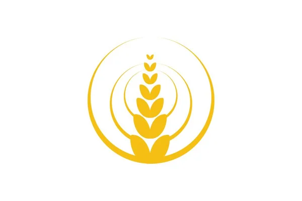 Pšenice Logo Vzory Inspirace Izolovaných Bílém Pozadí — Stockový vektor