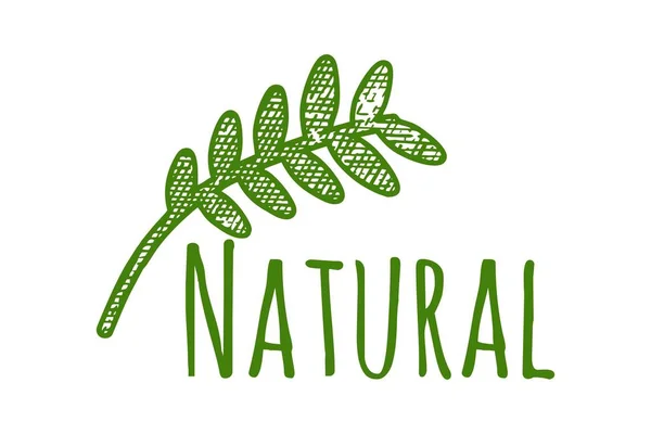 Natural Healthy Emblem Logo Designs Inspiration Isolated White Background — Stock Vector