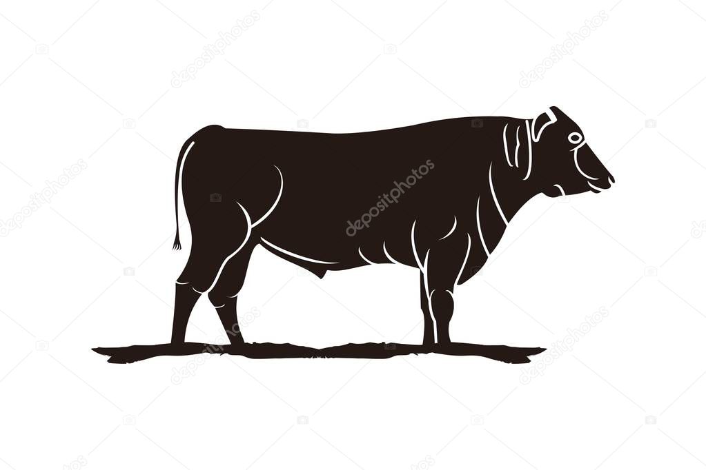 slaughter, Cattle , Beef logo Designs Inspiration Isolated on White Background