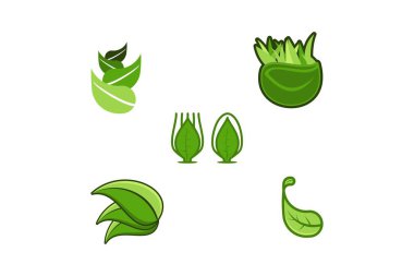 Beyaz arka plan üzerinde yaprak logo tasarımları ilham izole ayarla