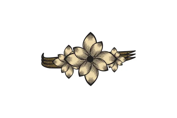 Ręcznie Rysowane Kwiatowy Kwiat Logo Projekty Inspiracji Izolowane Białym Tle — Wektor stockowy