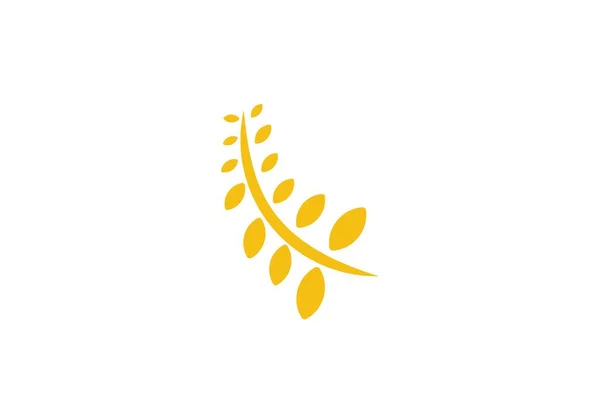 Logo Pertanian Gandum Desain Inspirasi Terisolasi Latar Belakang Putih - Stok Vektor