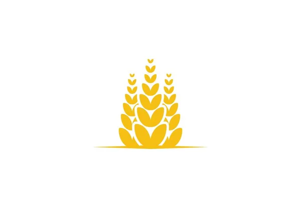 Logotipo Agricultura Grãos Trigo Projetos Inspiração Isolada Fundo Branco —  Vetores de Stock