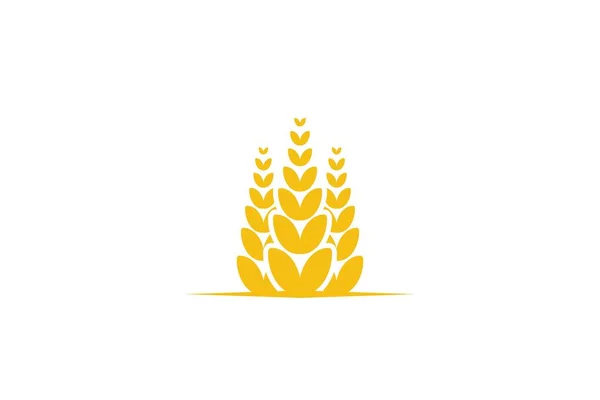 Logotipo Agricultura Grãos Trigo Projetos Inspiração Isolada Fundo Branco — Vetor de Stock