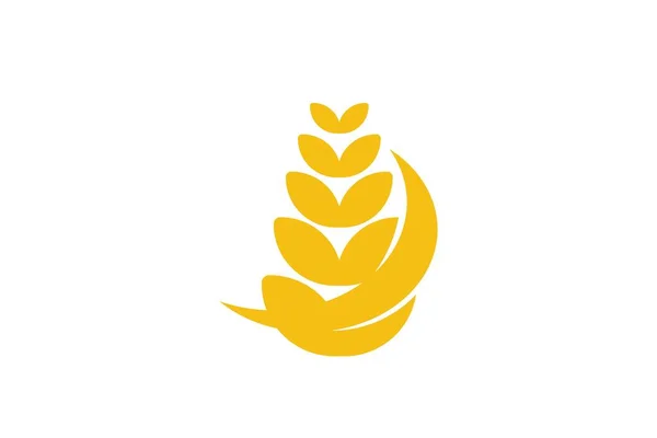 Logotipo Agricultura Grãos Trigo Projetos Inspiração Isolada Fundo Branco — Vetor de Stock