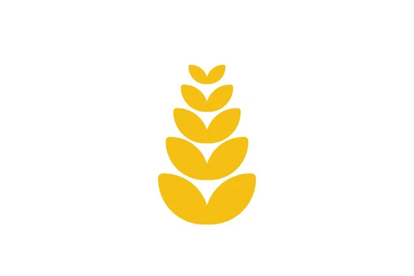 Logotipo Agricultura Grãos Trigo Projetos Inspiração Isolada Fundo Branco — Vetor de Stock