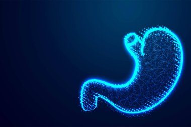 Mide insan anatomisi. Soyut düşük Poli, üçgen, nokta, çizgi, Çokgen. Mavi arka plan, vektör çizim Parlatıcı