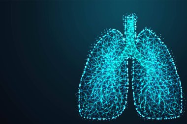 Bir yıldızlı gökyüzü veya alanı, Soyut 3d poligonal tel kafes uçakta mavi gece gökyüzü nokta ve yıldız şeklinde bir insan akciğer soyut resim. resimde veya arka plan