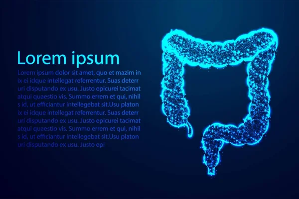 kolon, bağırsak, sindirim sistemi, insan anatomisi. Soyut düşük Poli, üçgen, nokta, çizgi, Çokgen. Mavi arka plan, vektör çizim Parlatıcı