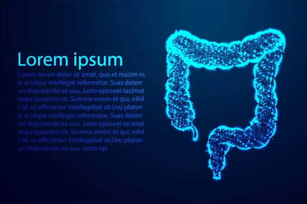 Толстая Кишка Кишечник Пищеварительная Система Человеческая Анатомия Абстрактный Низкий Поли — стоковый вектор