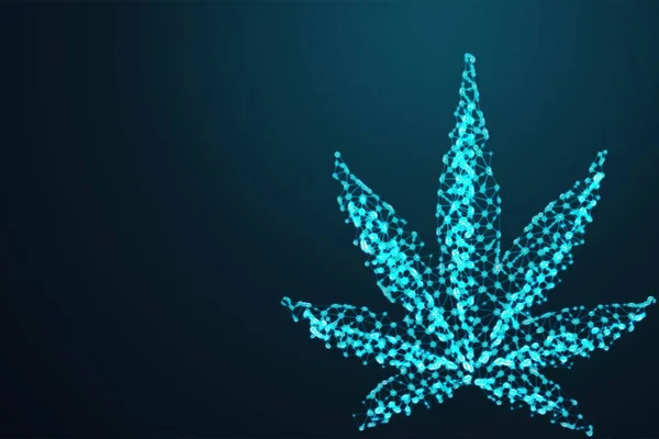 Marijuana Cannabis Leaf Abstract Polygonal Wireframe Airplane Blue Night Sky — Stock Vector